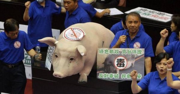 小麦策略 自澳大利亚进口的冷冻猪脚验出瘦肉精，民代质疑：美国莱猪输台敲门砖？