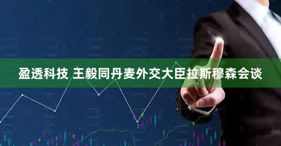 盈透科技 王毅同丹麦外交大臣拉斯穆森会谈