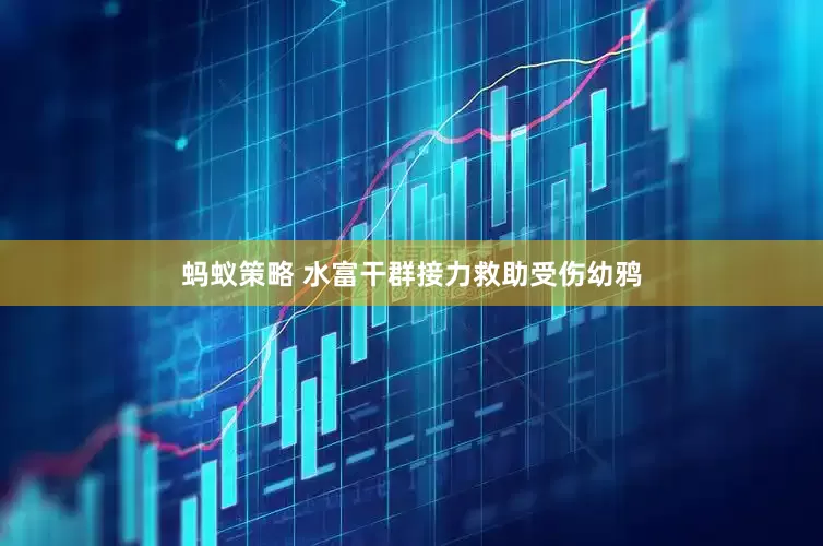 蚂蚁策略 水富干群接力救助受伤幼鸦