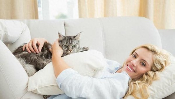MOM操盘网 小猫咪爱主人的4个表现，不要猫咪撒娇了，主人却在那当木头