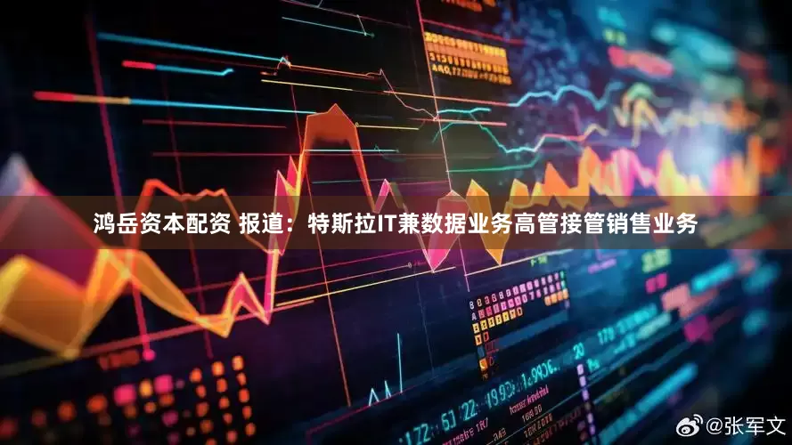 鸿岳资本配资 报道：特斯拉IT兼数据业务高管接管销售业务