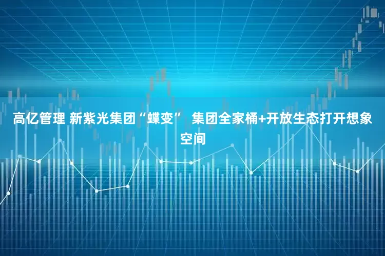 高亿管理 新紫光集团“蝶变”  集团全家桶+开放生态打开想象空间